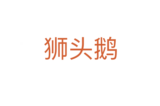 狮头鹅