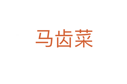 马齿菜